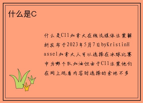 什么是C
